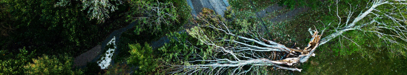 debris after a storm
