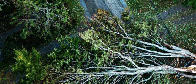 debris after a storm